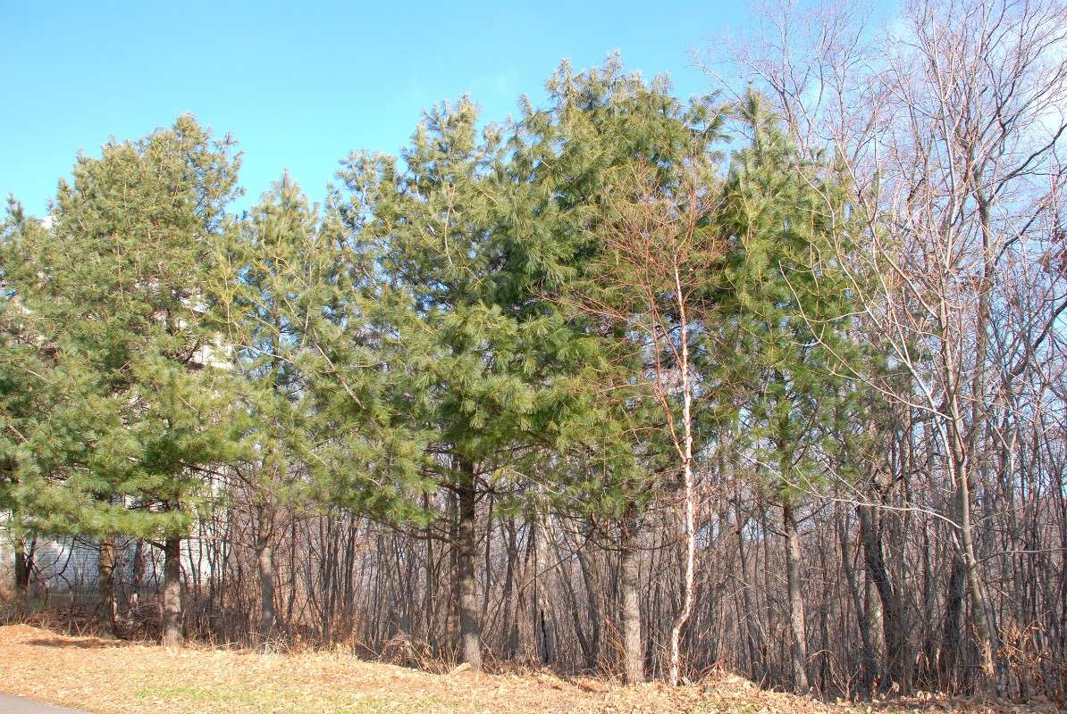 ����������� ����� ����� ����� ������ �� PhotoGeek.ru #������ ��� ������� #����� �������������� #��������� #����� ��������