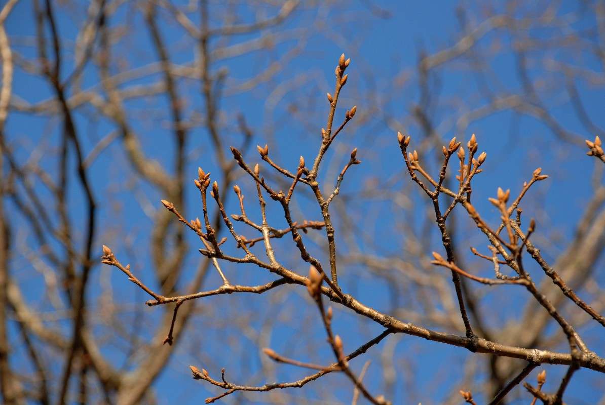 � �������� ... �����... ����� ����� ������ �� PhotoGeek.ru #������ ��� ������� #����� �������������� #��������� #����� ��������