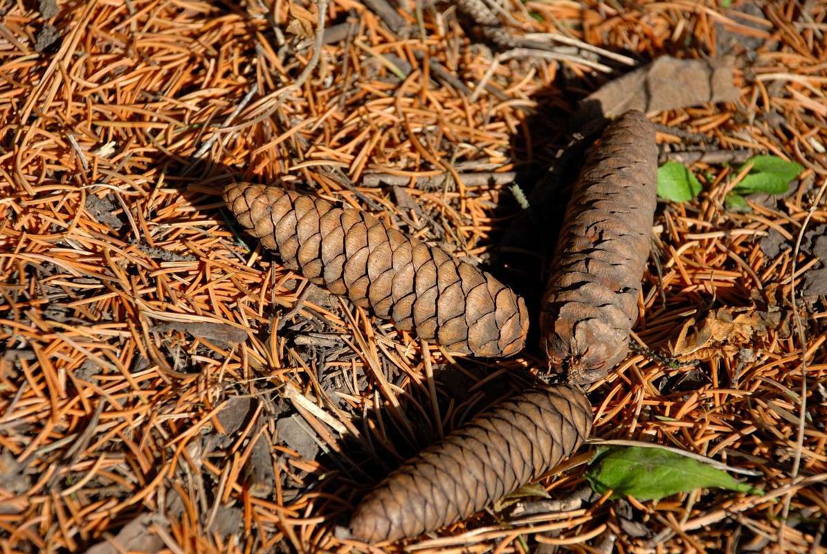 ����� ����� ����� ������ �� PhotoGeek.ru #������ ��� ������� #����� �������������� #��������� #����� ��������