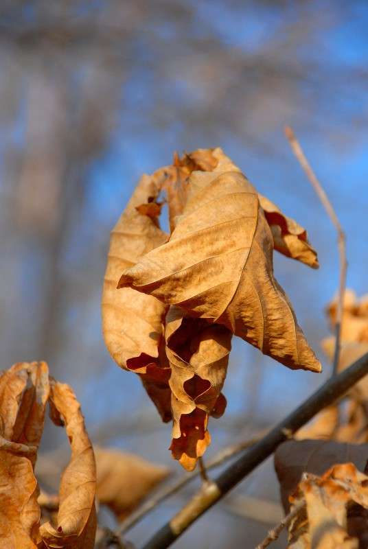 ������� ������ ����� ����� ������ �� PhotoGeek.ru #������ ��� ������� #����� �������������� #��������� #����� ��������