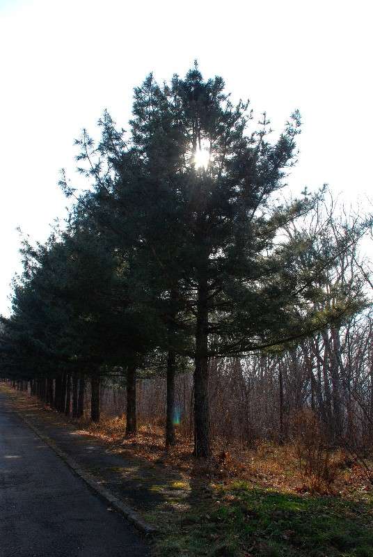 ������ ������� �����! ����� ����� ������ �� PhotoGeek.ru #������ ��� ������� #����� �������������� #��������� #����� ��������