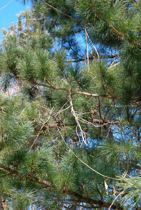 �������������� ���� � ���� (��� � ������) ����� ����� ������ �� PhotoGeek.ru #������ ��� ������� #����� �������������� #��������� #����� ��������