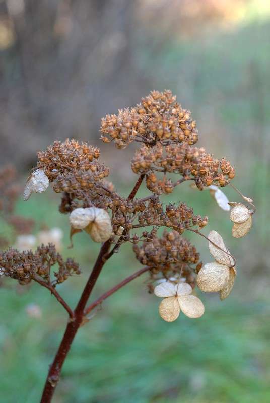 �������� ����� ����� ������ �� PhotoGeek.ru #������ ��� ������� #����� �������������� #��������� #����� ��������