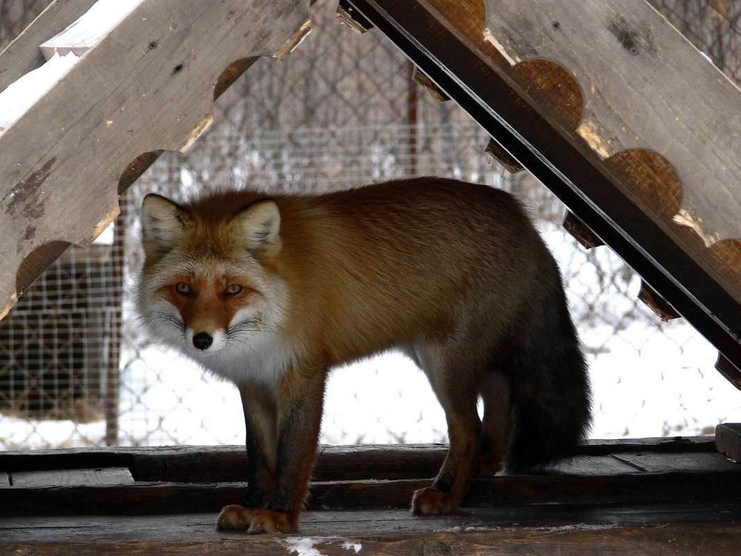 � � � ������! ����� ����� ������ �� PhotoGeek.ru #�������� ��� #������ ��� ������� #����� ��� ��� ���������