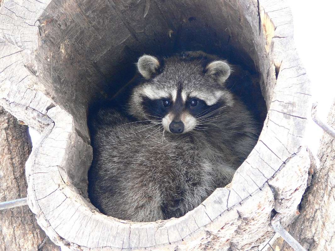 ����� � ������ ������... ����� ����� ������ �� PhotoGeek.ru #�������� ��� #������ ��� ������� #����� ��� ��� ��������� #����� ��������