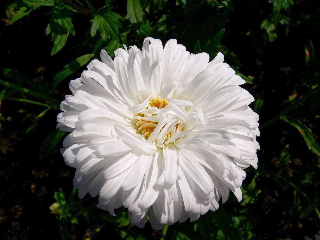 ��������� �������! ����� ����� ������ �� PhotoGeek.ru #������ ��� ������� #����� �������������� #���������