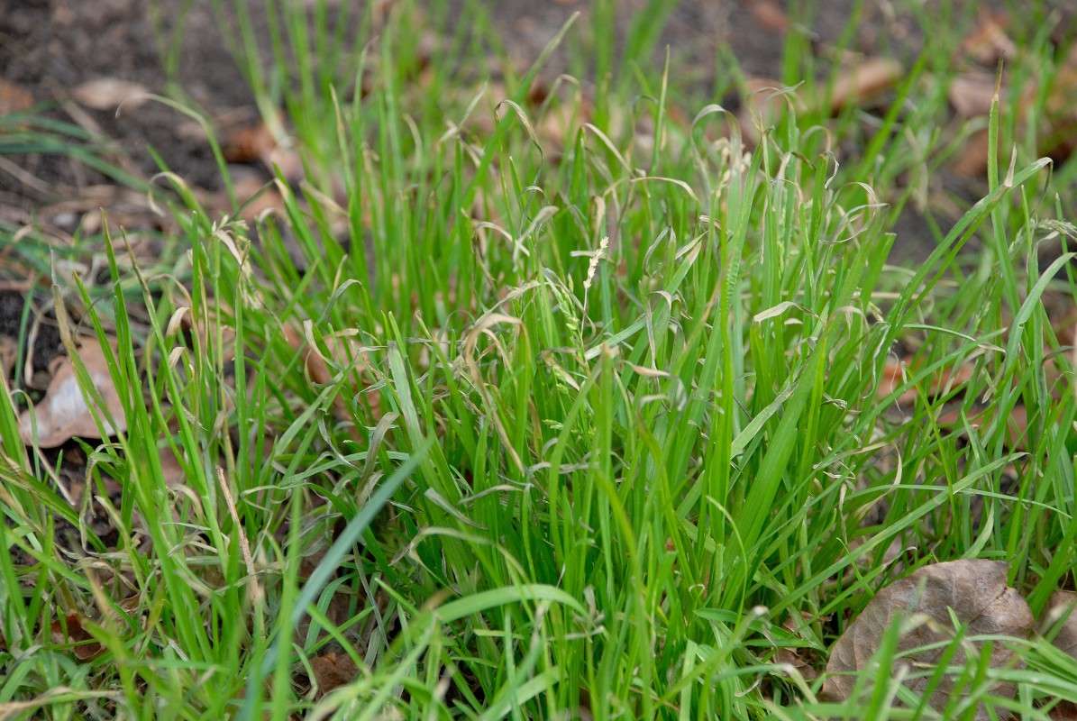 ��������� ������! ����� ����� ������ �� PhotoGeek.ru #������ ��� ������� #����� �������������� #��������� #����� ��������