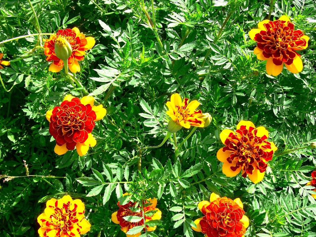 ������� �������������... ����� ����� ������ �� PhotoGeek.ru #������ ��� ������� #����� �������������� #��������� #����� ��������