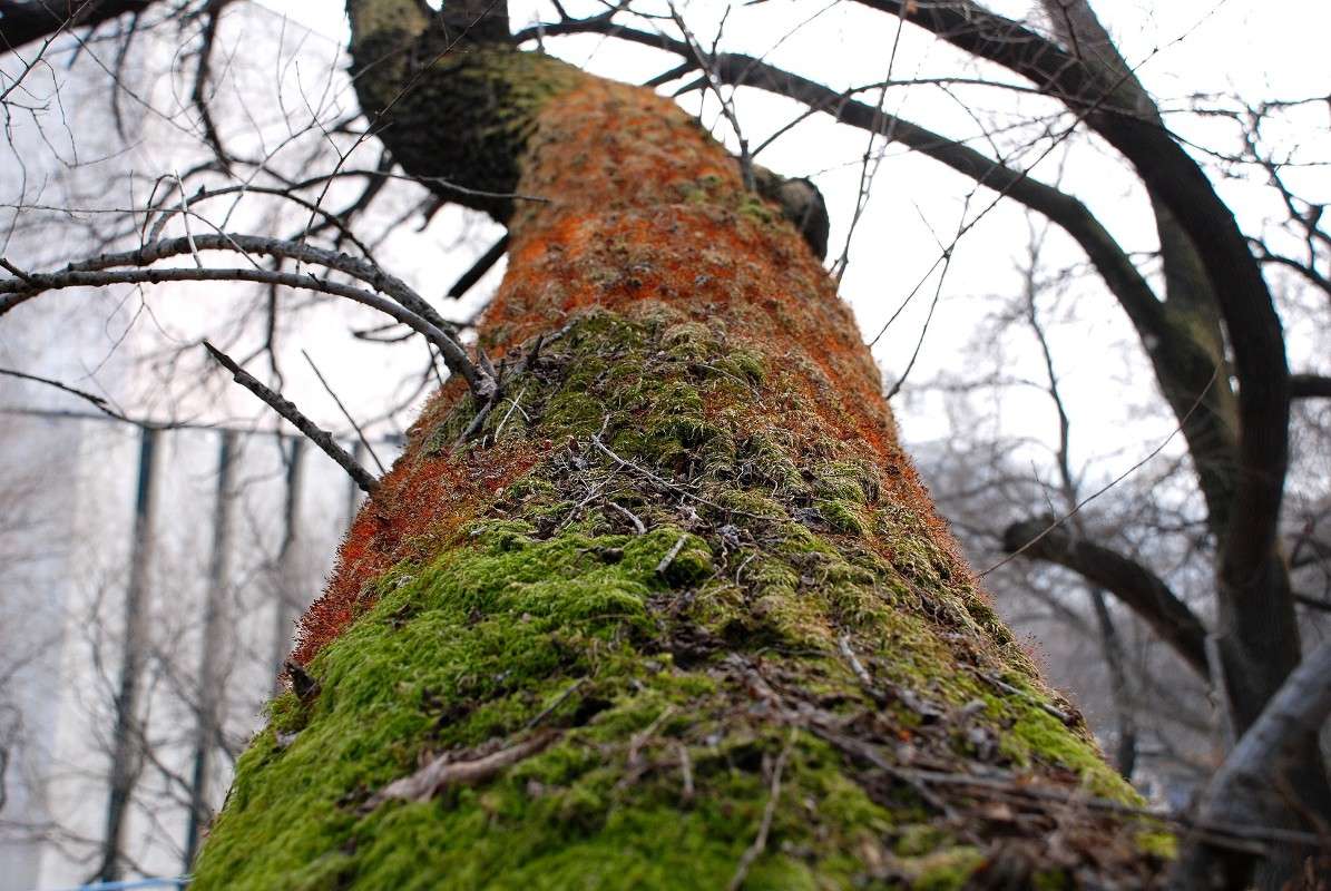 ������ ��� ����� ����� ������ �� PhotoGeek.ru #������ ��� ������� #����� �������������� #��������� #����� ��������