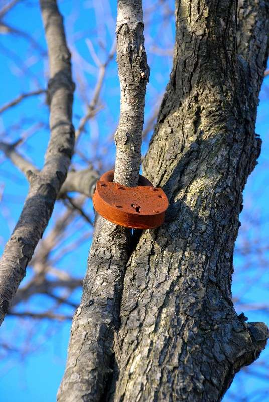 ����� ... ��� ����� ������... ����� ����� ������ �� PhotoGeek.ru #����� #������ ��� ������� #��������� ������ #��������� #����� ��������