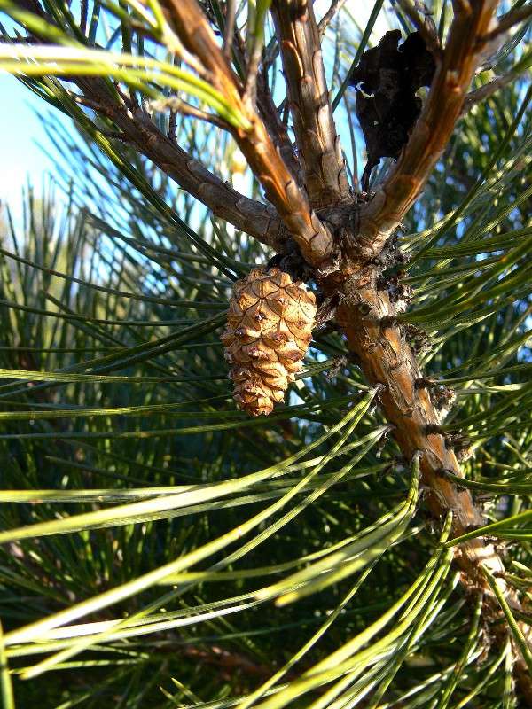 ����� �� ������ ����� ����� ����� ������ �� PhotoGeek.ru #������ ��� ������� #����� �������������� #��������� #����� ��������