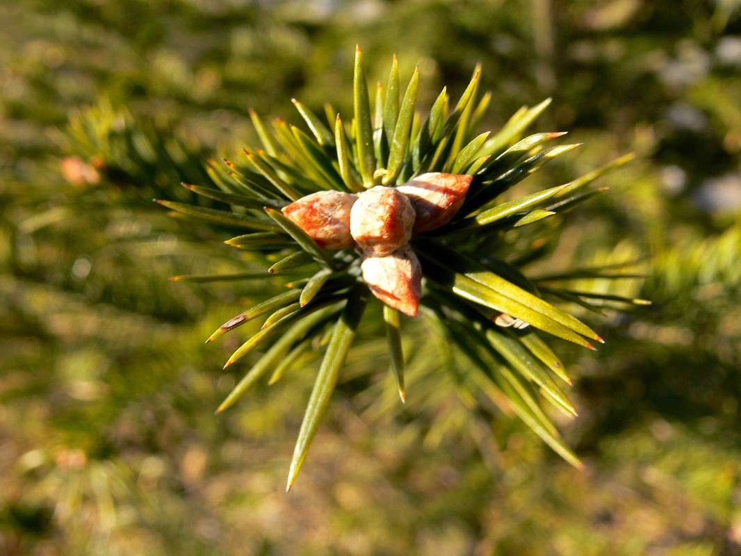 ���������� ����� ����� ����� ������ �� PhotoGeek.ru #������ ��� ������� #����� �������������� #���������