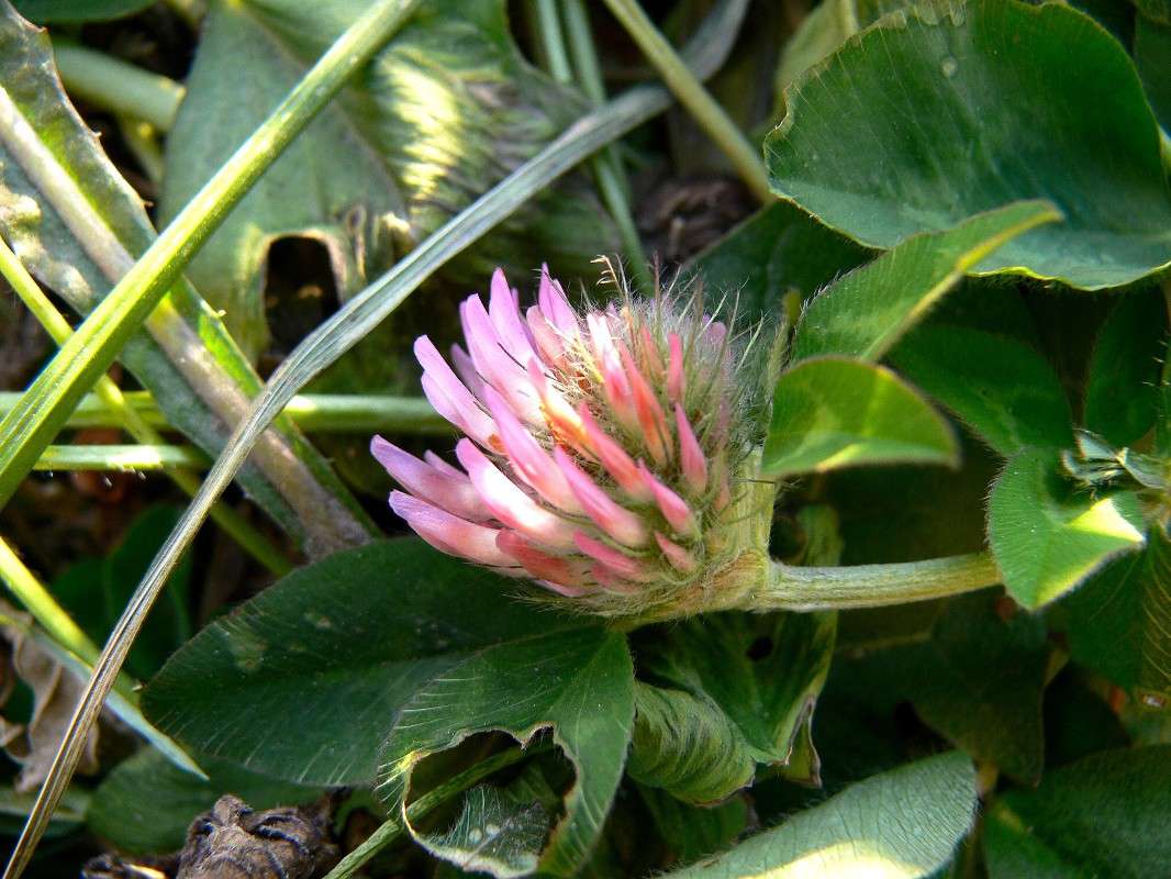 ��������� ������� ������ ����� ����� ������ �� PhotoGeek.ru #������ ��� ������� #����� �������������� #���������