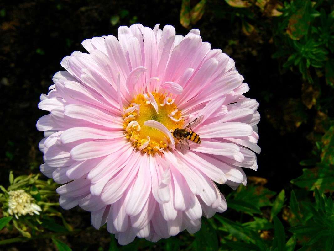 ������ ����� ����� ����� ������ �� PhotoGeek.ru #������ ��� ������� #����� �������������� #���������