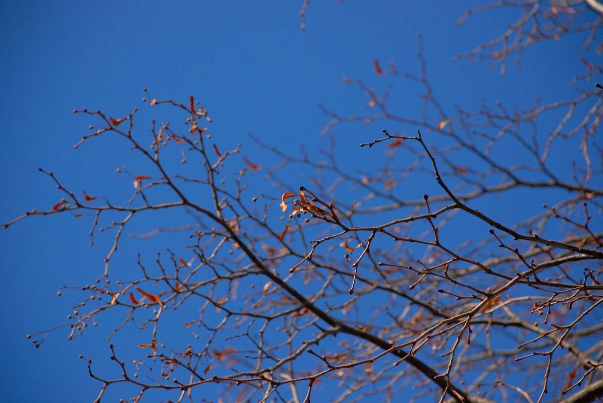 �� ���� ���� ��������... ����� ����� ������ �� PhotoGeek.ru #������ ��� ������� #����� �������������� #���������