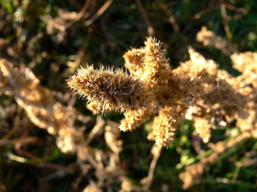 ��������� �����! ����� ����� ������ �� PhotoGeek.ru #������ ��� ������� #����� �������������� #���������