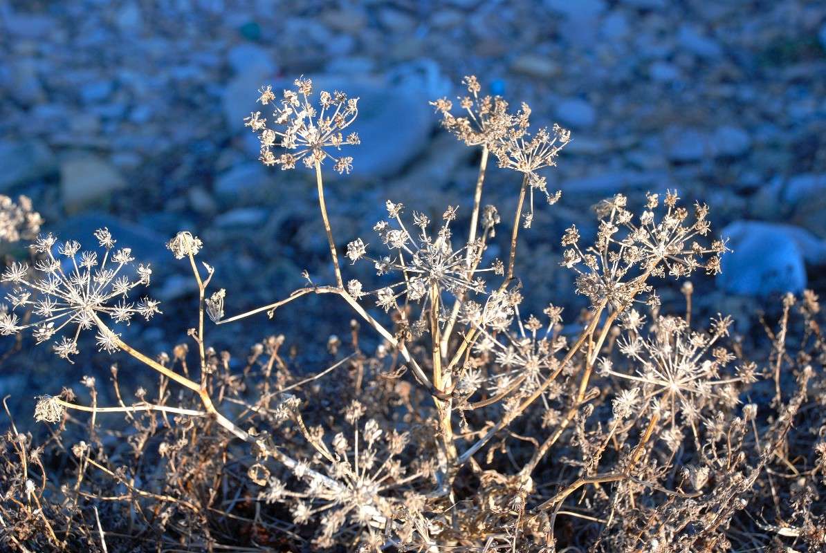 � ����� ���������... ����� ����� ������ �� PhotoGeek.ru #������ ��� ������� #����� �������������� #��������� #����� ��������