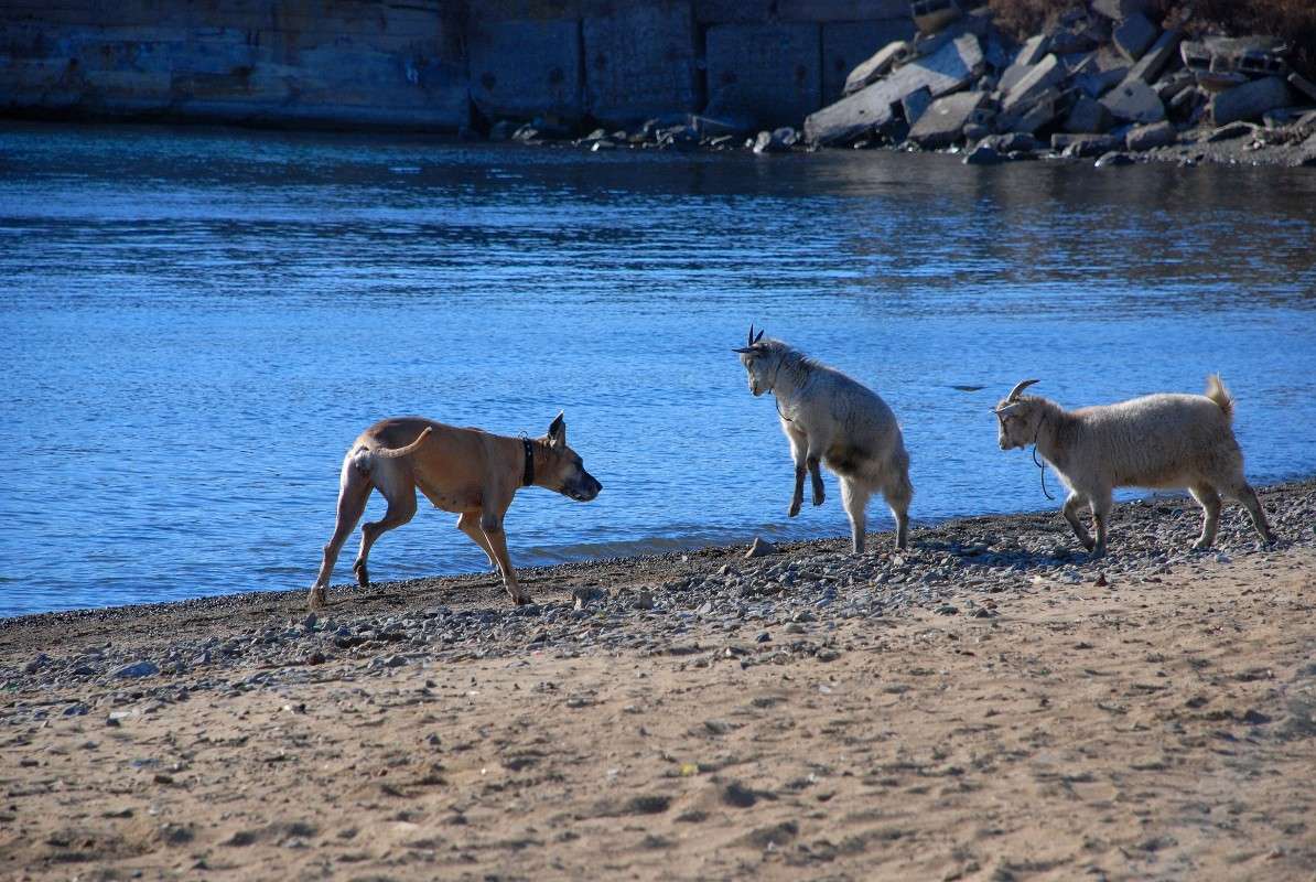 ������� ���������! ����� ����� ������ �� PhotoGeek.ru #�������� ��� #������ ��� ������� #��������� #����� ��������