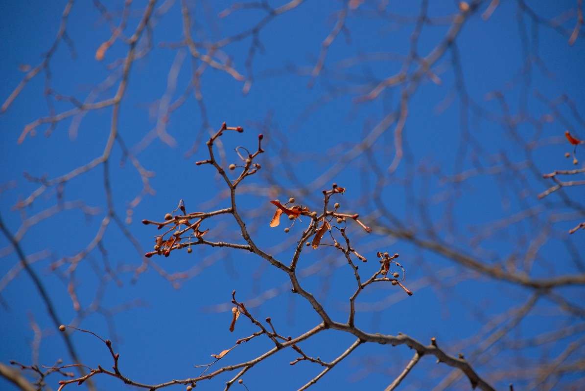 ��� ����� �������... ����� ����� ������ �� PhotoGeek.ru #������ ��� ������� #����� �������������� #��������� #����� ��������