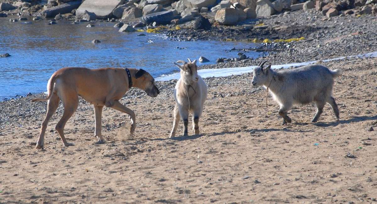 �����! ����� ����� ������ �� PhotoGeek.ru #�������� ��� #������ ��� ������� #�������� ��� #���������