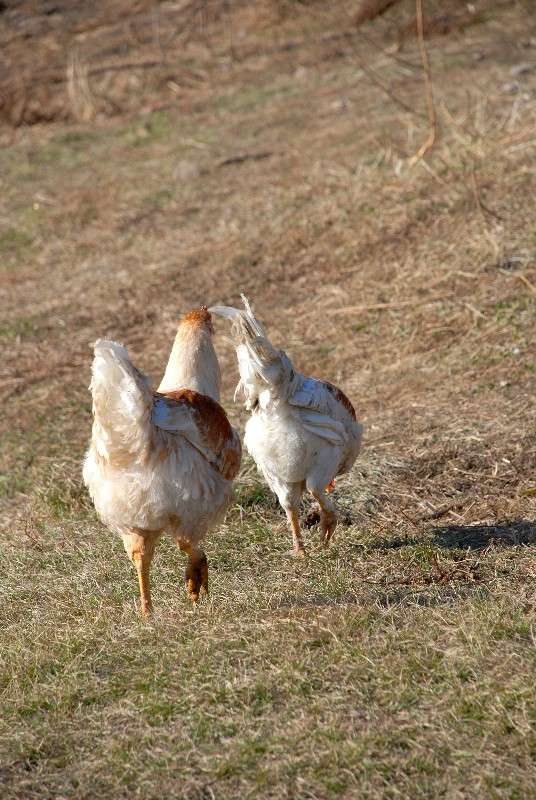 ������... ����� ����� ������ �� PhotoGeek.ru #�������� ��� #������ ��� ������� #�������� ��� #���������