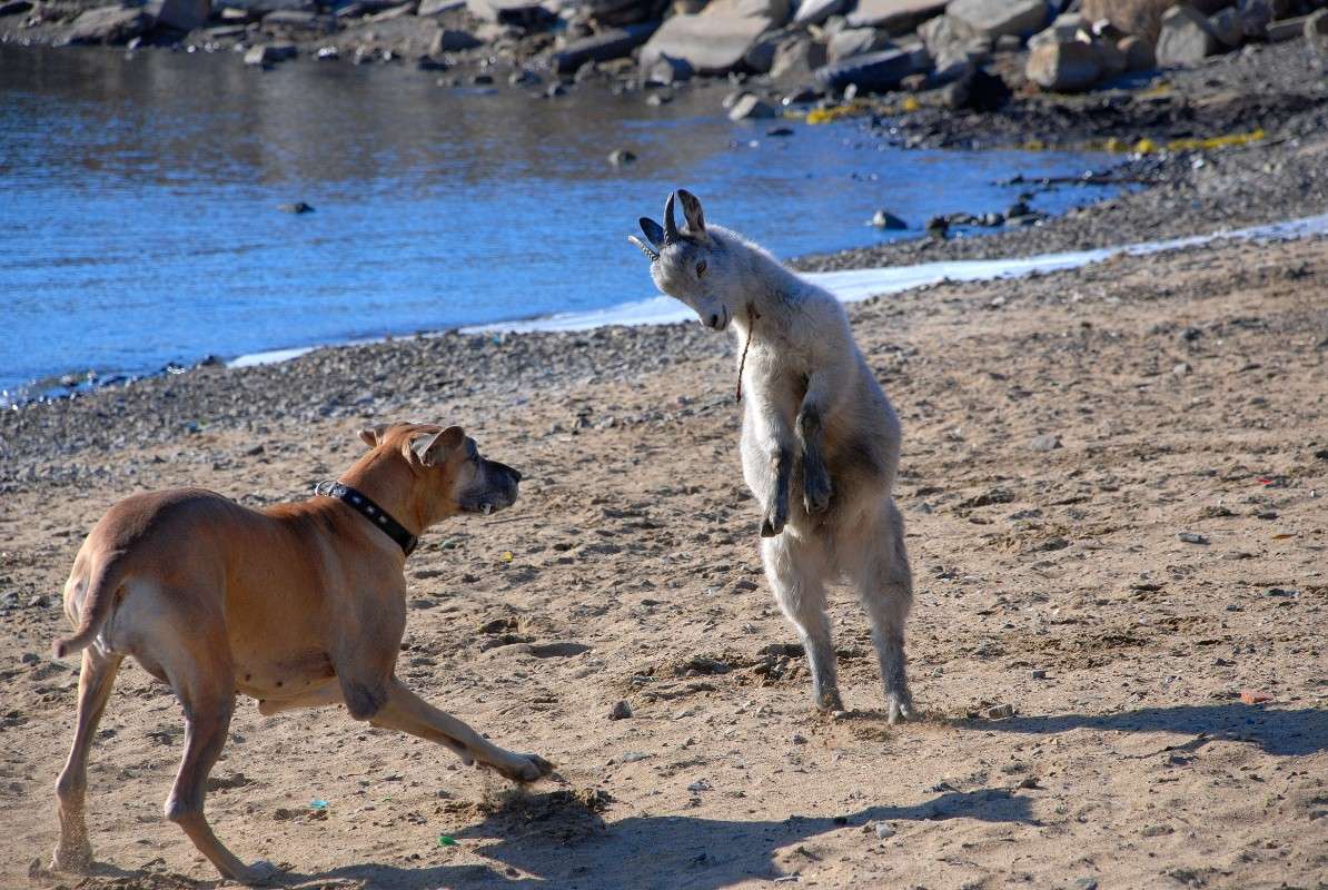 �����������: ��� ��� ����? ����� ����� ������ �� PhotoGeek.ru #�������� ��� #������ ��� ������� #�������� ��� #���������