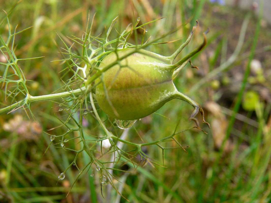 ������� � �������� ����... ����� ����� ������ �� PhotoGeek.ru #������ ��� ������� #����� �������������� #��������� #����� ��������