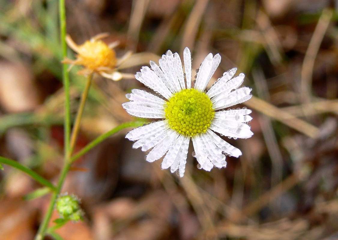 ������� ����� ���������... ����� ����� ������ �� PhotoGeek.ru #������ ��� ������� #����� �������������� #��������� #����� ��������