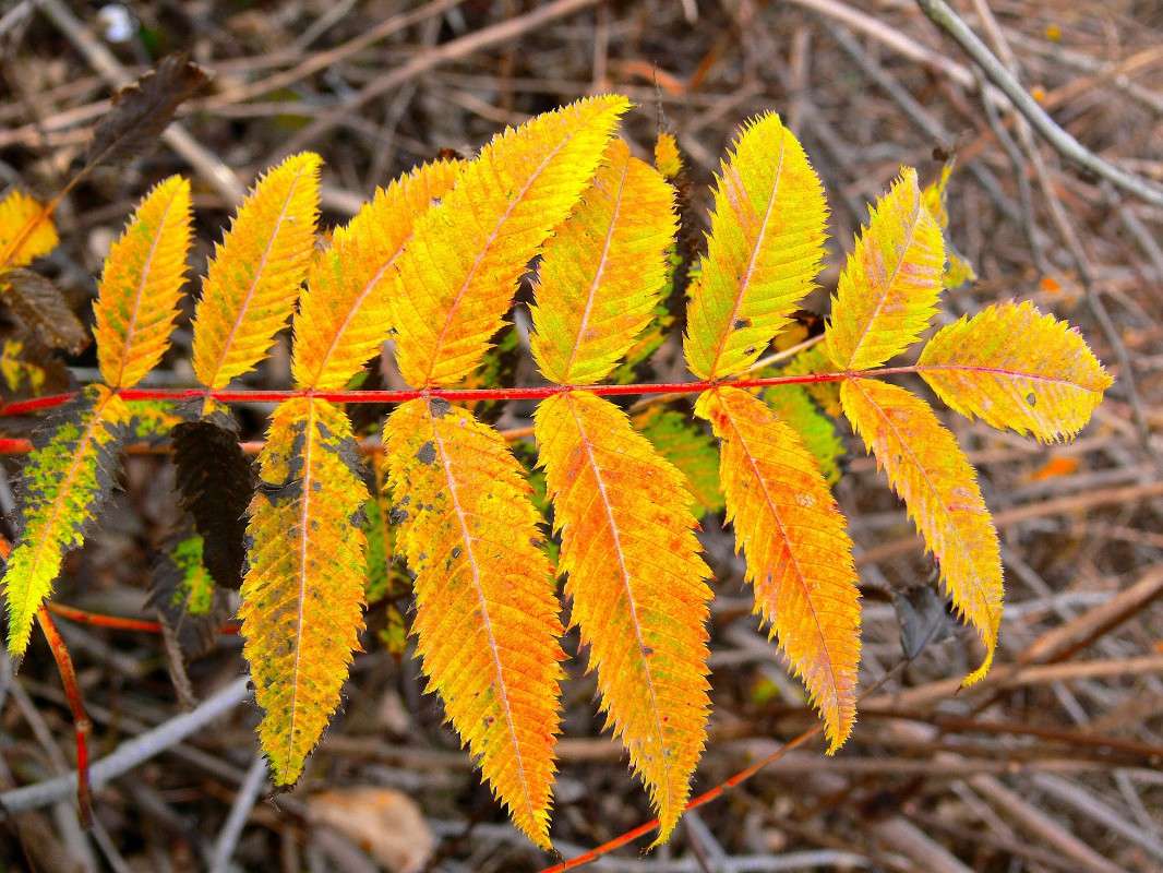 ������ ���... ����� ����� ������ �� PhotoGeek.ru #������ ��� ������� #����� �������������� #���������