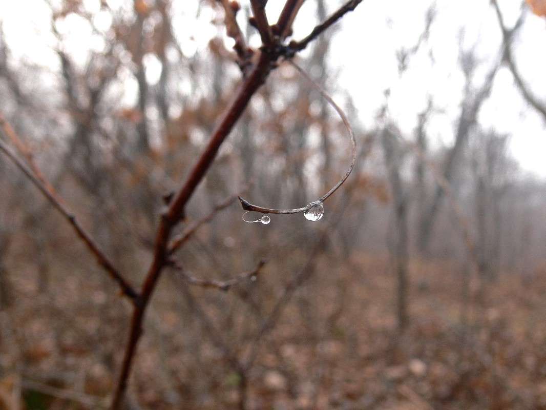 ������ ����� ����� ������ �� PhotoGeek.ru #������ ��� ������� #����� �������������� #��������� #����� ��������