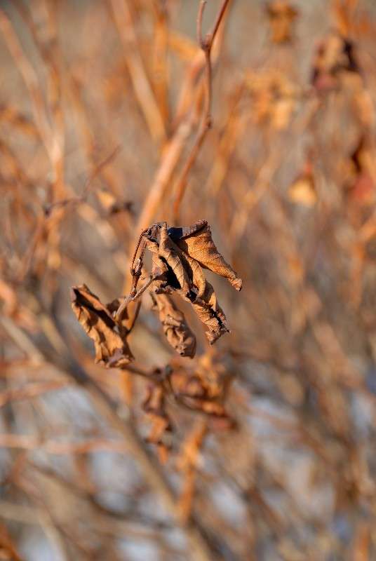 �������� ������� ����� ����� ������ �� PhotoGeek.ru #������ ��� ������� #����� �������������� #��������� #����� ��������