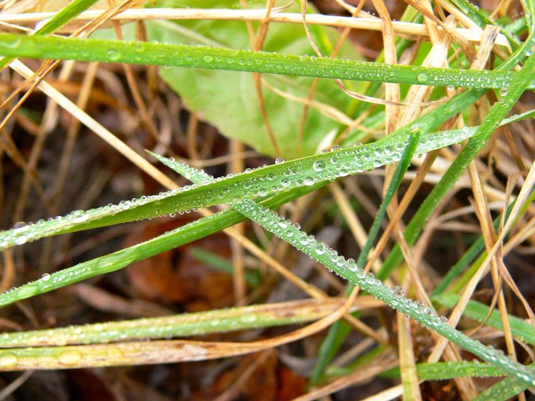 �� ������ �����... ����� ����� ������ �� PhotoGeek.ru #������ ��� ������� #����� �������������� #��������� #����� ��������