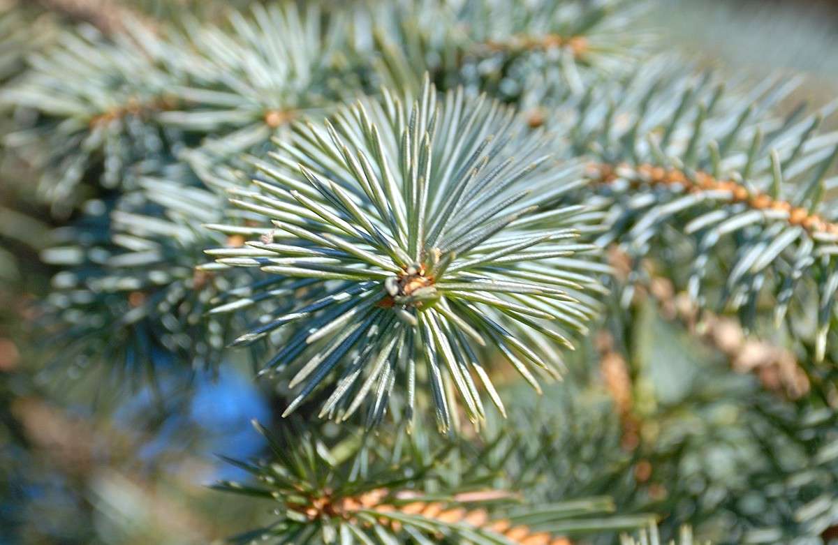 ���������� ����� ����� ����� ������ �� PhotoGeek.ru #������ ��� ������� #����� �������������� #��������� #����� ��������