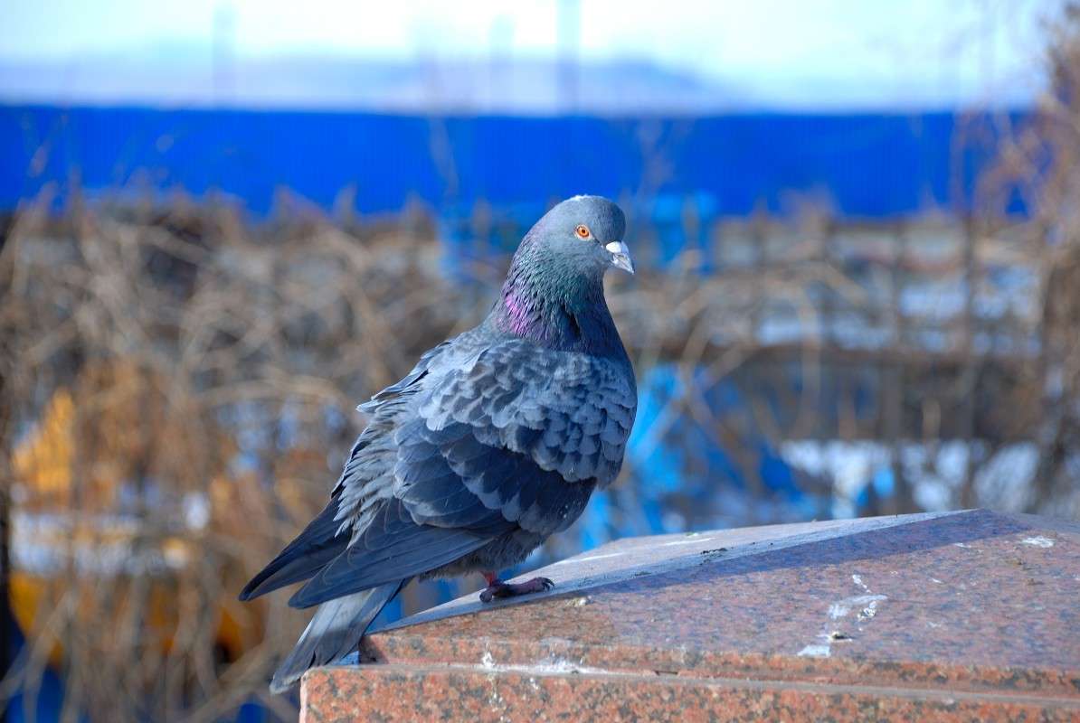 ���� �� ����� ����... ����� ����� ������ �� PhotoGeek.ru #����� #�������� ��� #��������