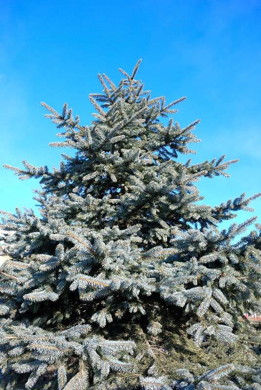 ��������������� ���! ����� ����� ������ �� PhotoGeek.ru #������ ��� ������� #����� �������������� #��������� #����� ��������