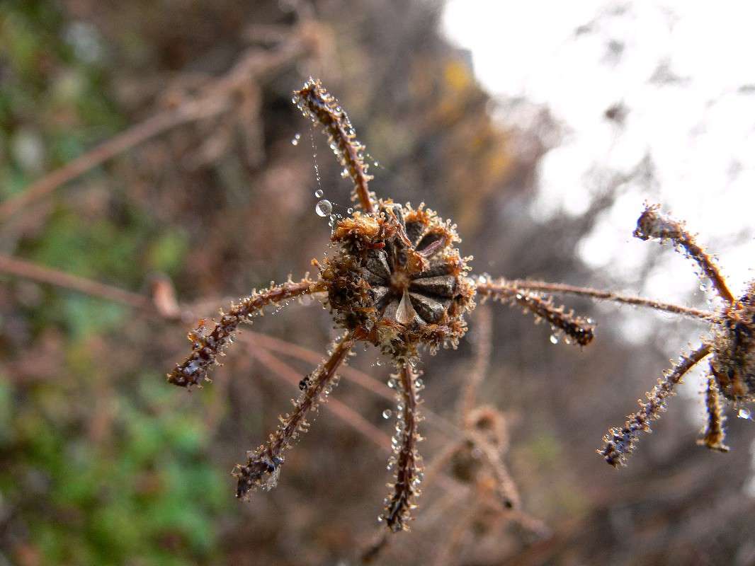 ��������� ����� �����... ����� ����� ������ �� PhotoGeek.ru #������ ��� ������� #����� �������������� #���������