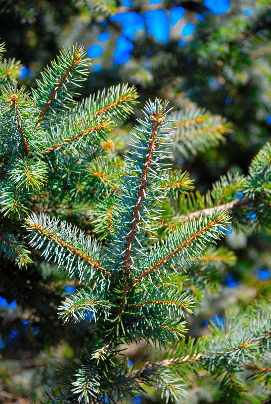 � ������ � ���� ����� ����� ������ �� PhotoGeek.ru #������ ��� ������� #����� �������������� #��������� #����� ��������