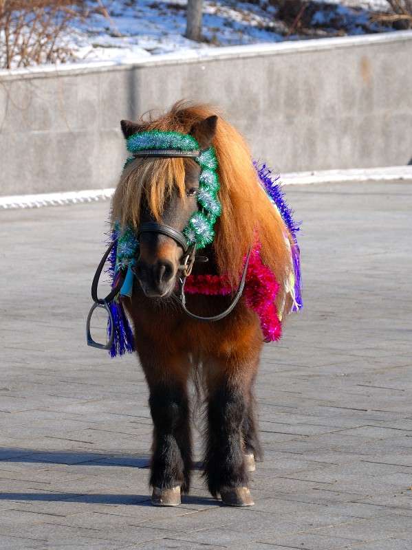 ��-��� ... �����... ����� ����� ������ �� PhotoGeek.ru #����� #�������� ��� #��������