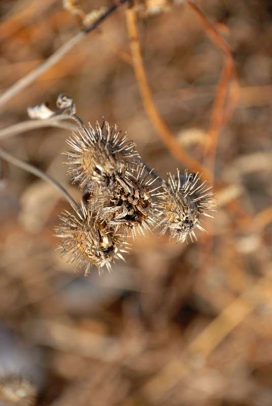 ������� ������� ����� ����� ������ �� PhotoGeek.ru #������ ��� ������� #����� �������������� #��������� #����� ��������