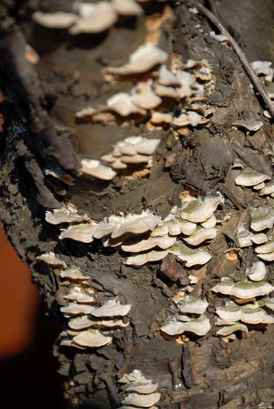 �����! ����� ����� ������ �� PhotoGeek.ru #������ ��� ������� #����� �������������� #��������� #����� ��������