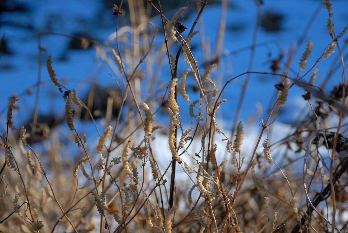 ������ ��������... ����� ����� ������ �� PhotoGeek.ru #������ ��� ������� #����� �������������� #��������� #����� ��������