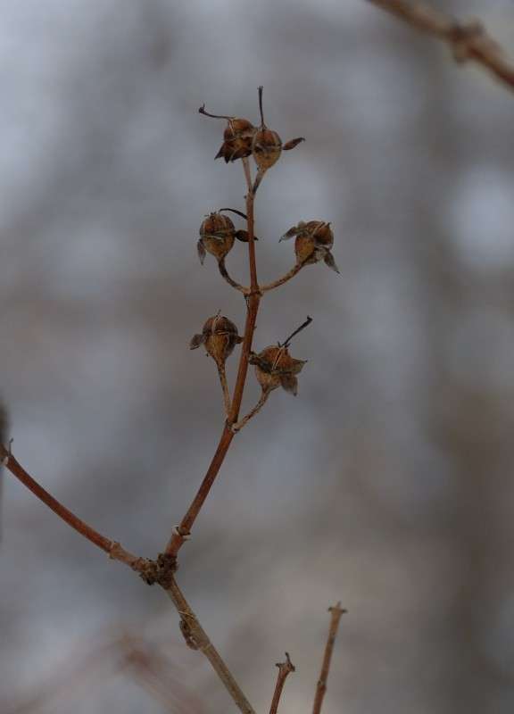 �������� ����� ����� ������ �� PhotoGeek.ru #������ ��� ������� #����� �������������� #��������� #����� ��������