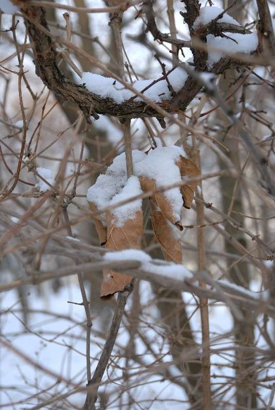 ������ ������� ������� ����� ����� ������ �� PhotoGeek.ru #������ ��� ������� #����� �������������� #��������� #����� ��������