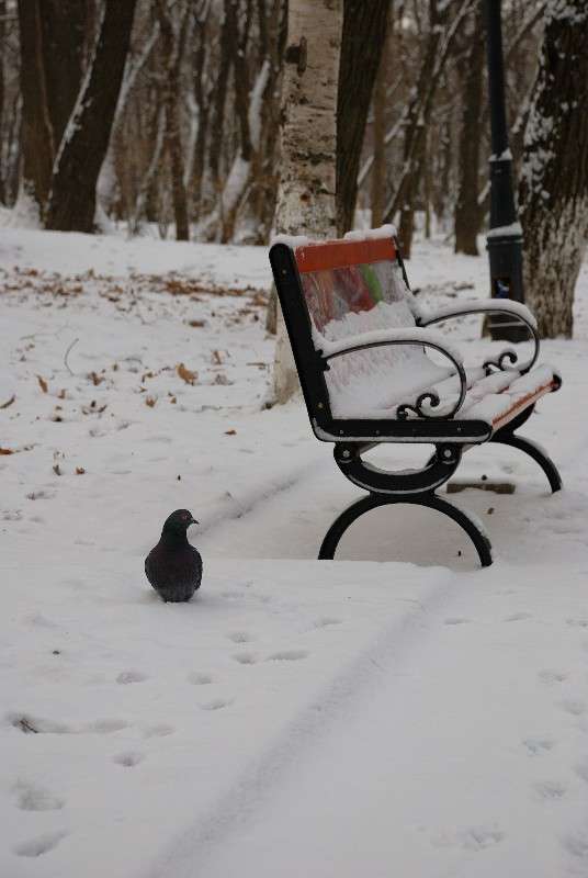 ������ ��������! ����� ����� ������ �� PhotoGeek.ru #����� #������ ��� ������� #��������� ������ #��������� #����� ��������