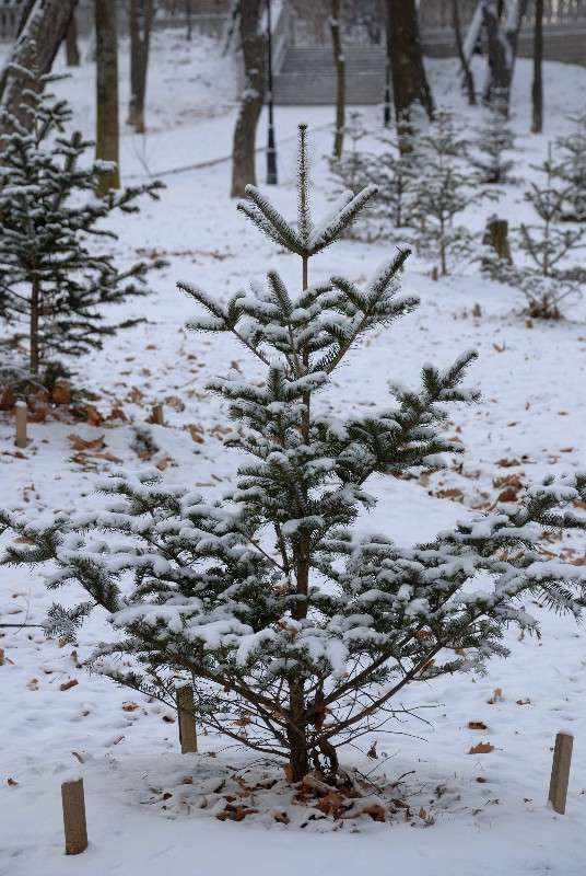 ����-�����! ����� ����� ������ �� PhotoGeek.ru #����� #������ ��� ������� #��������� ������ #��������� #����� ��������