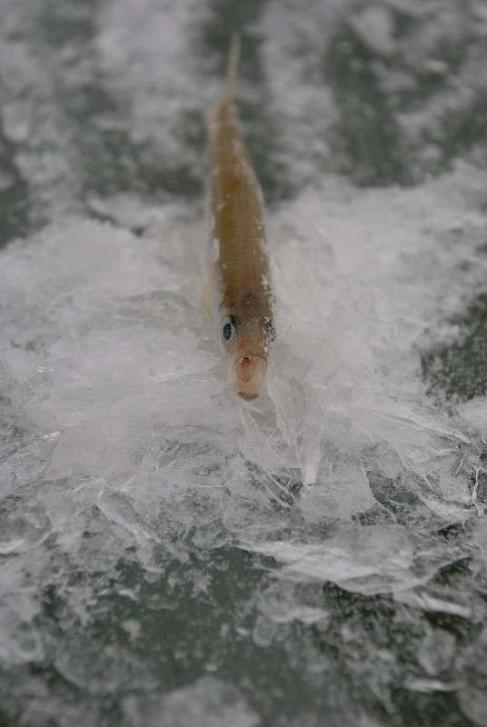 �� ���� ����� ����� ������ �� PhotoGeek.ru #�������� ��� #�������� #����� ��� ��� ���������