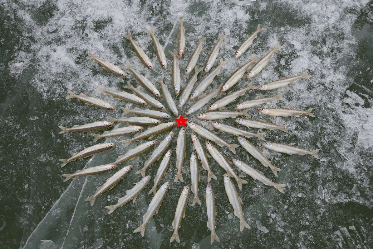 �������� ������ ����� ����� ������ �� PhotoGeek.ru #�������� ��� #�������� #����� ��� ��� ���������