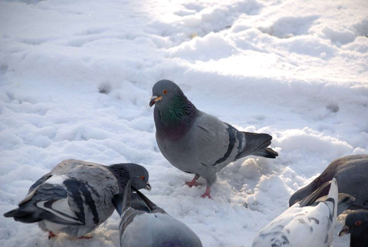 ������� �� ����� ����� ����� ������ �� PhotoGeek.ru #����� #�������� ��� #����� ��� ��� ���������