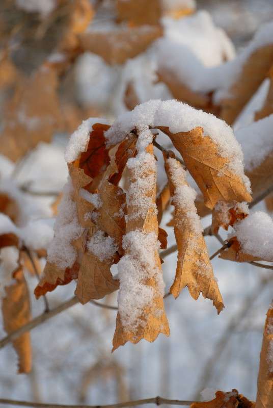 ������� ������... ����� ����� ������ �� PhotoGeek.ru #������ ��� ������� #����� �������������� #��������� #����� ��������