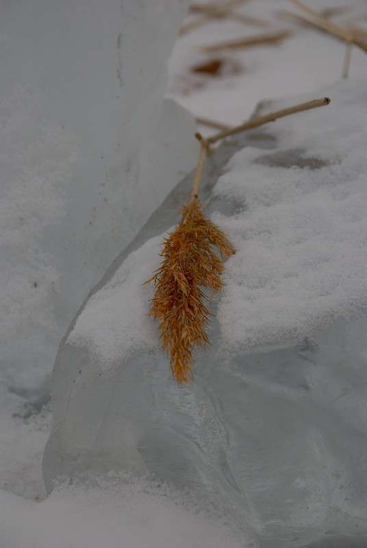 �����... ����� ����� ������ �� PhotoGeek.ru #������ ��� ������� #��������� #����� ��������